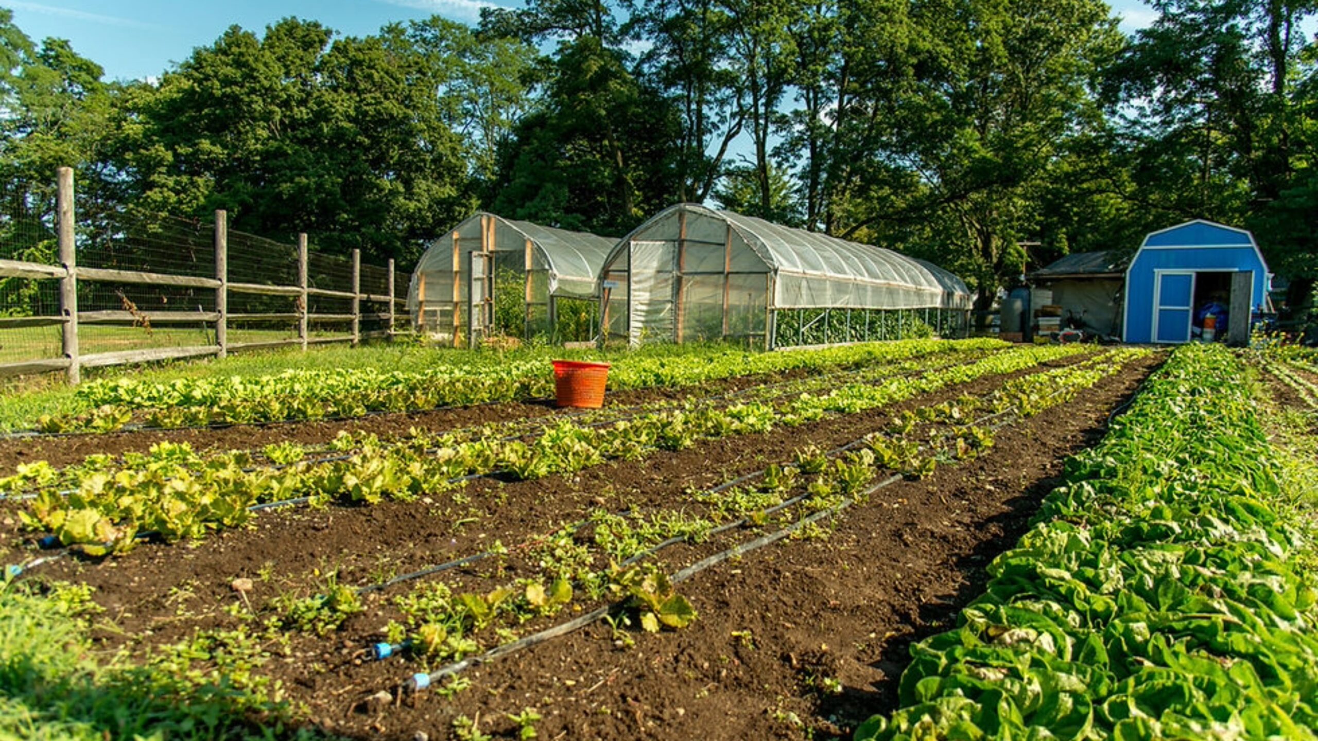 Grow It Green Winter Market