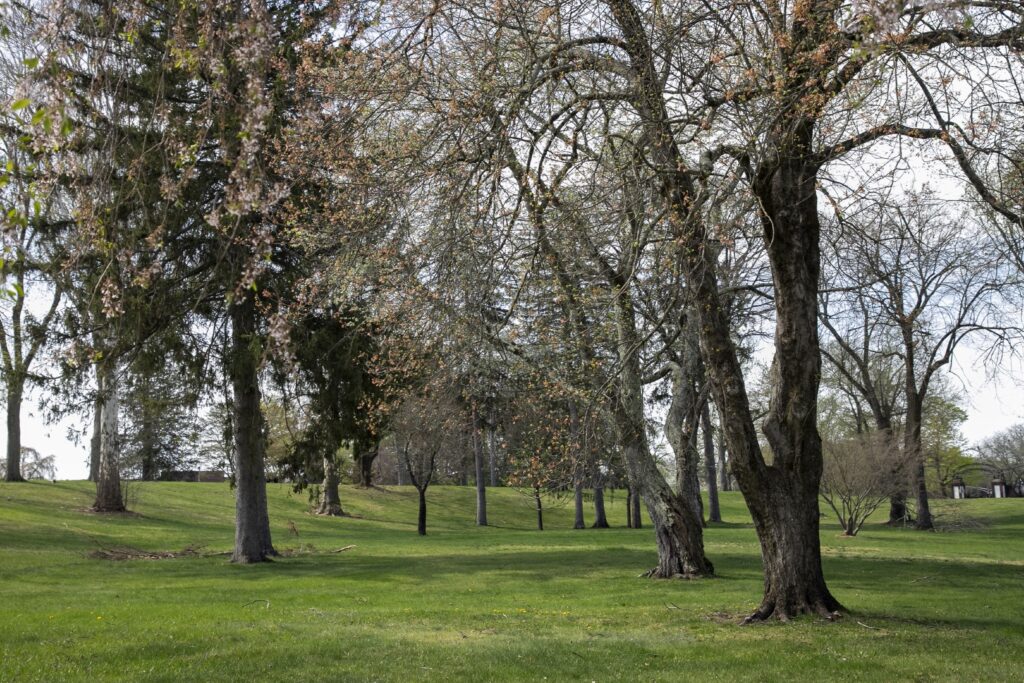 Denville Preserve 57 Acres: Major $5.7M Open Space Win at St. Francis & Pocono Fields