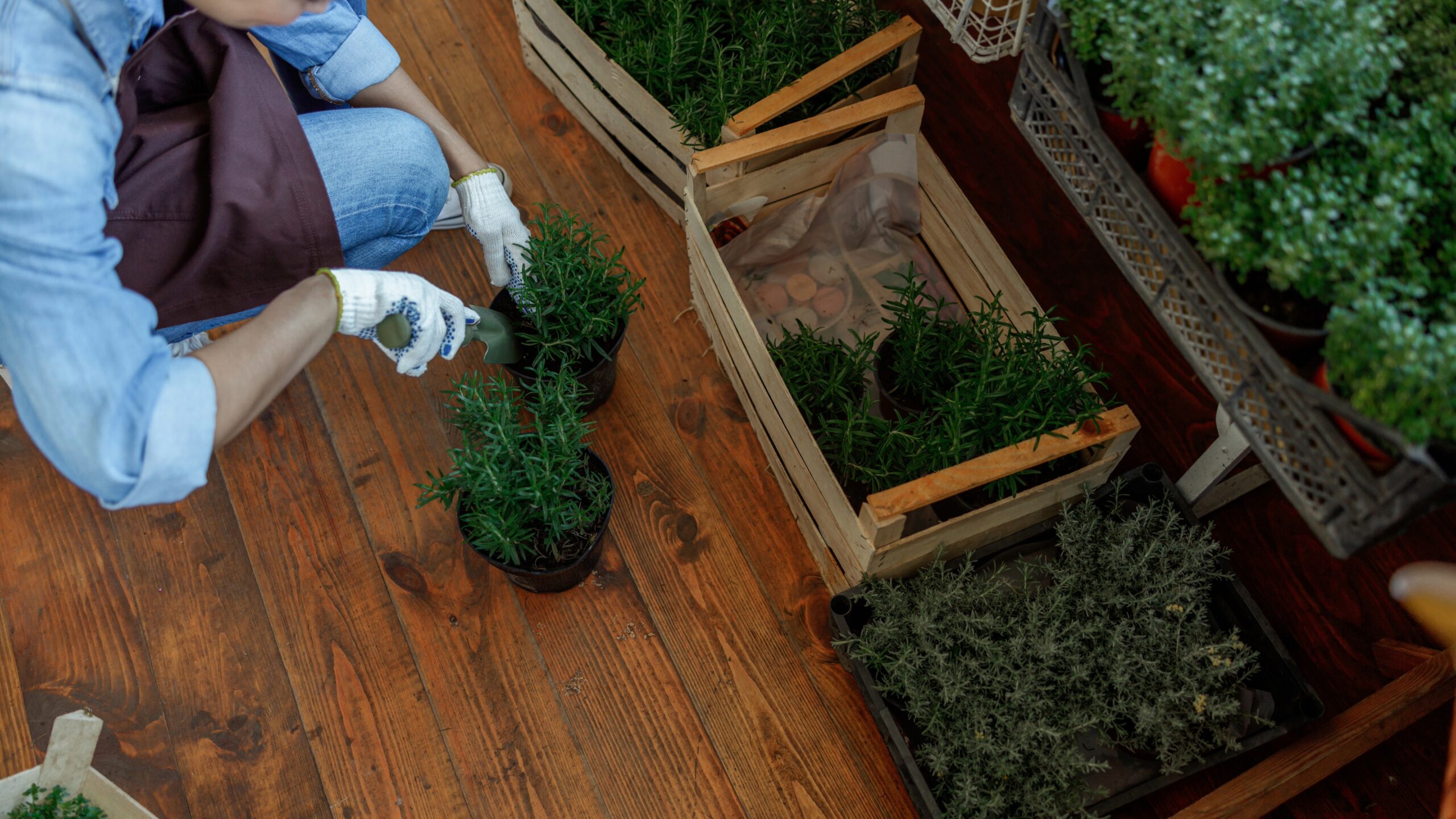 Herbalist’s Garden