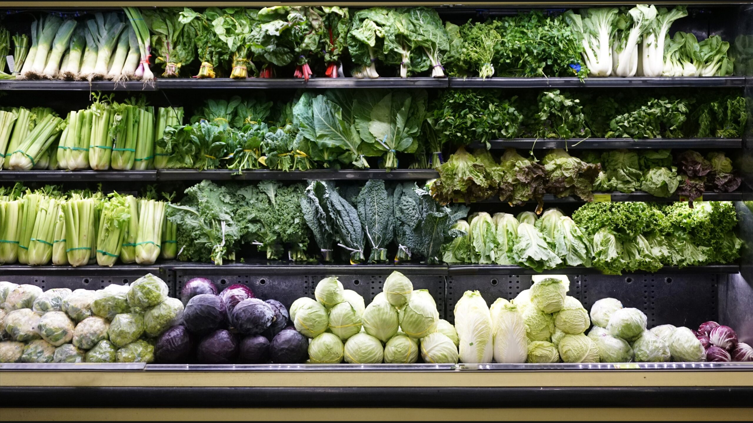 federal SNAP policy New Jersey