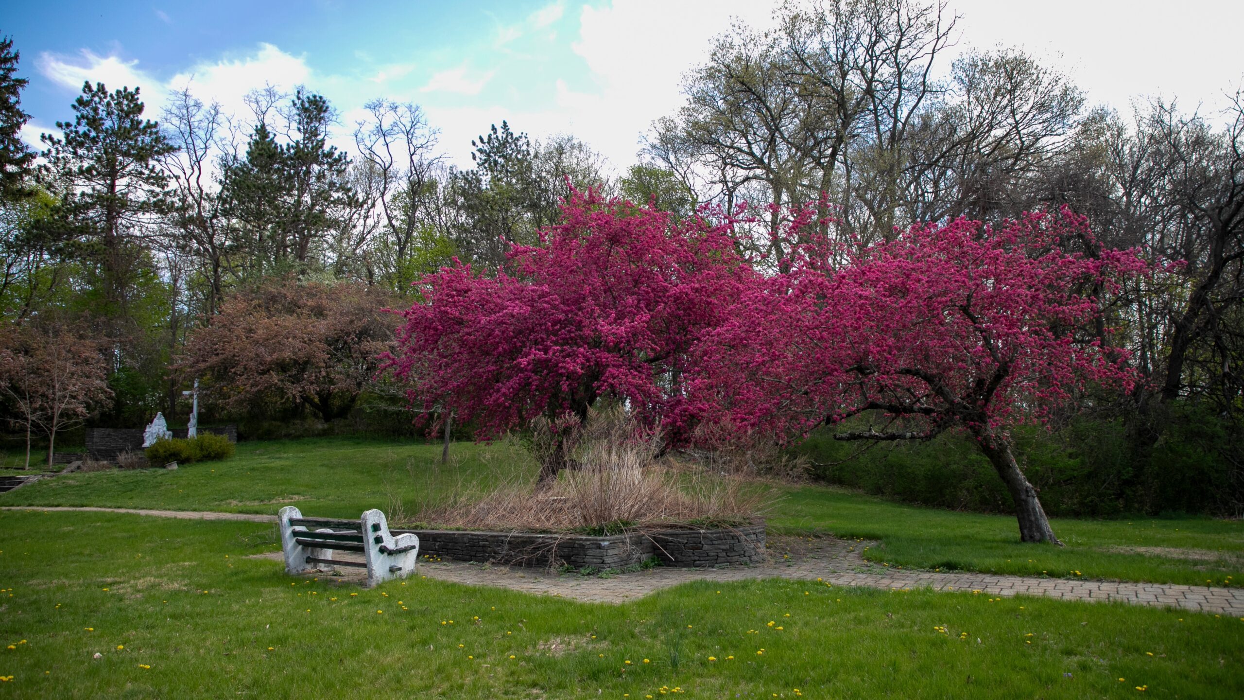 Denville Preserve 57 Acres: Major $5.7M Open Space Win at St. Francis & Pocono Fields