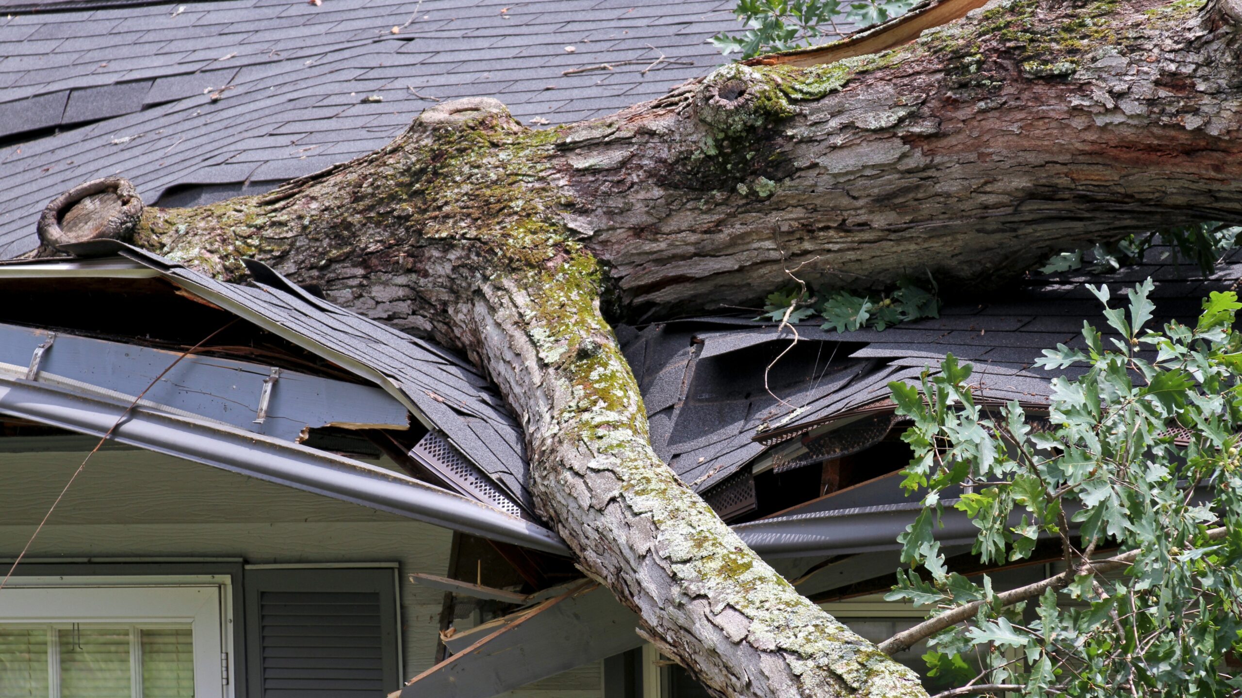 Morris County Storm Recovery as Flood Risk Returns
