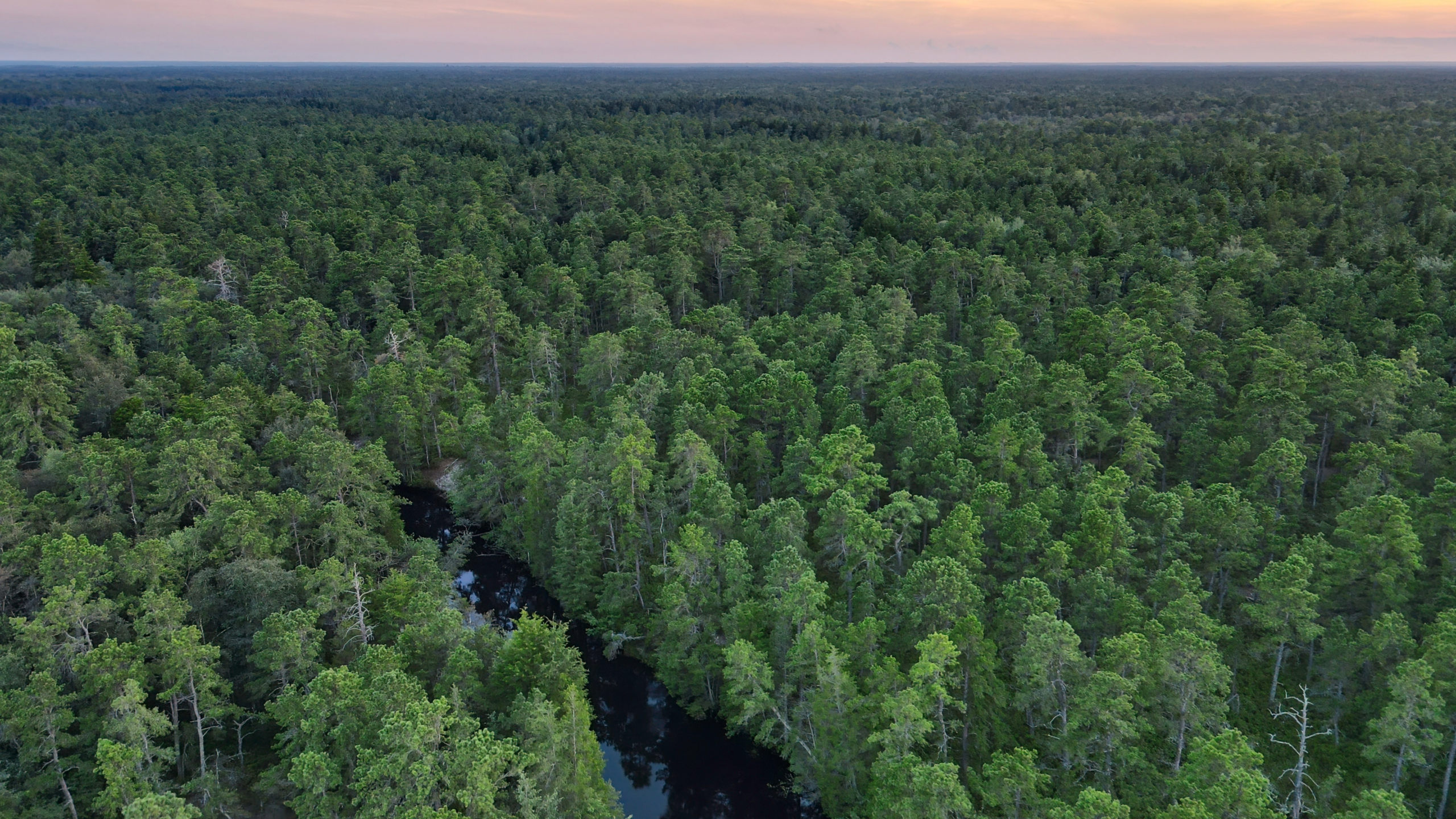 NJ Supreme Court eminent domain ruling